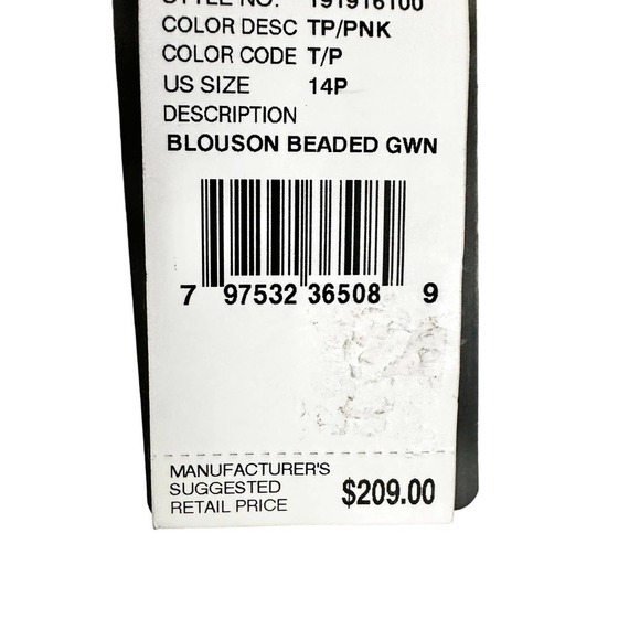 Adrianna Papell Blush Pink Blouson Steel Beaded Gown Dress Women Sz 14P NWT - Picture 4 of 7